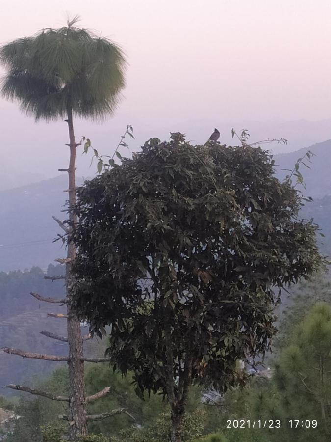 MangalMurti Himalyan Homestay Hawalbagh Luaran gambar